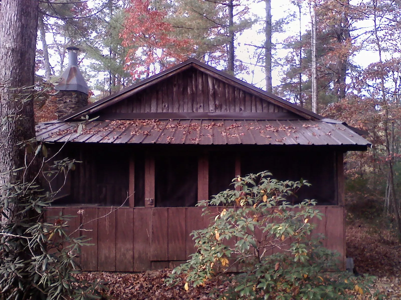 Metal roof over the screened porch of a rustic cabin in Hockessin